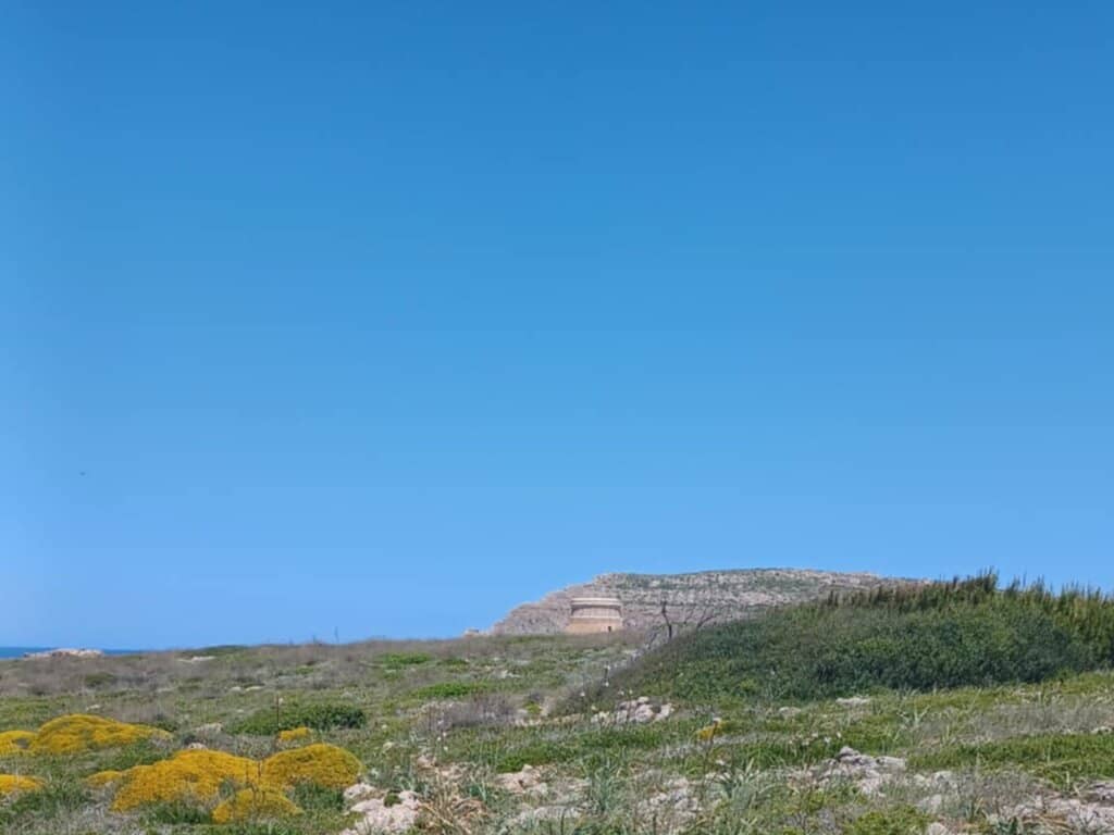 Panoramic Views from the Top