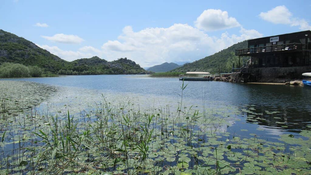 Local Fish Delicacies