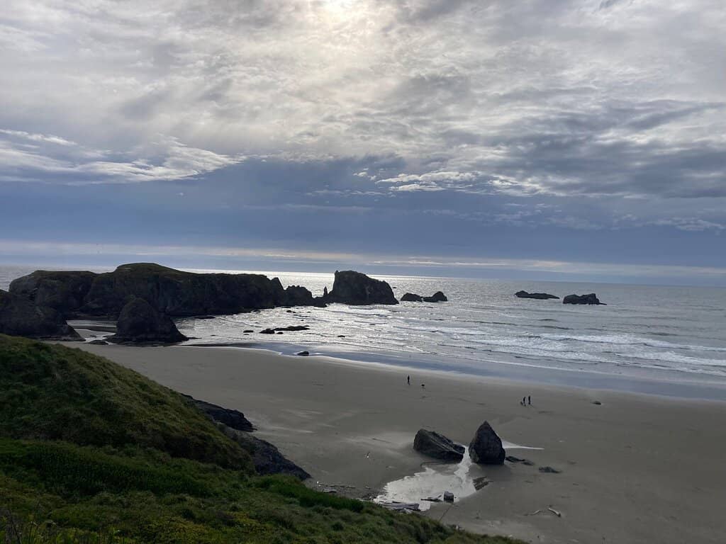 Sea Lion Cove