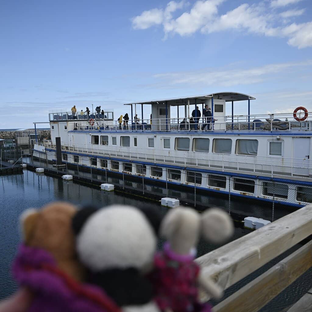 Seal Viewing Platform