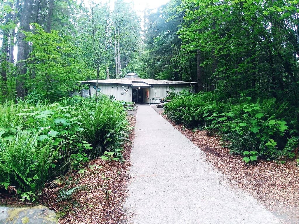 Lynn Canyon Suspension Bridge