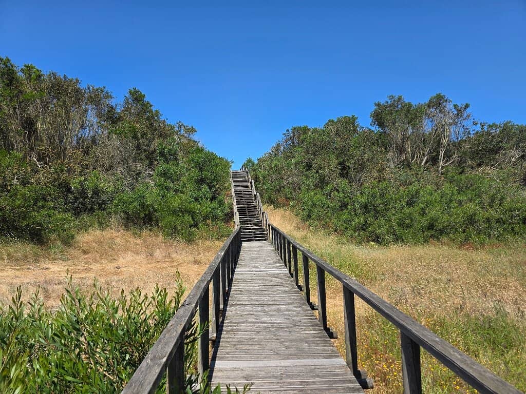 Coastal Views