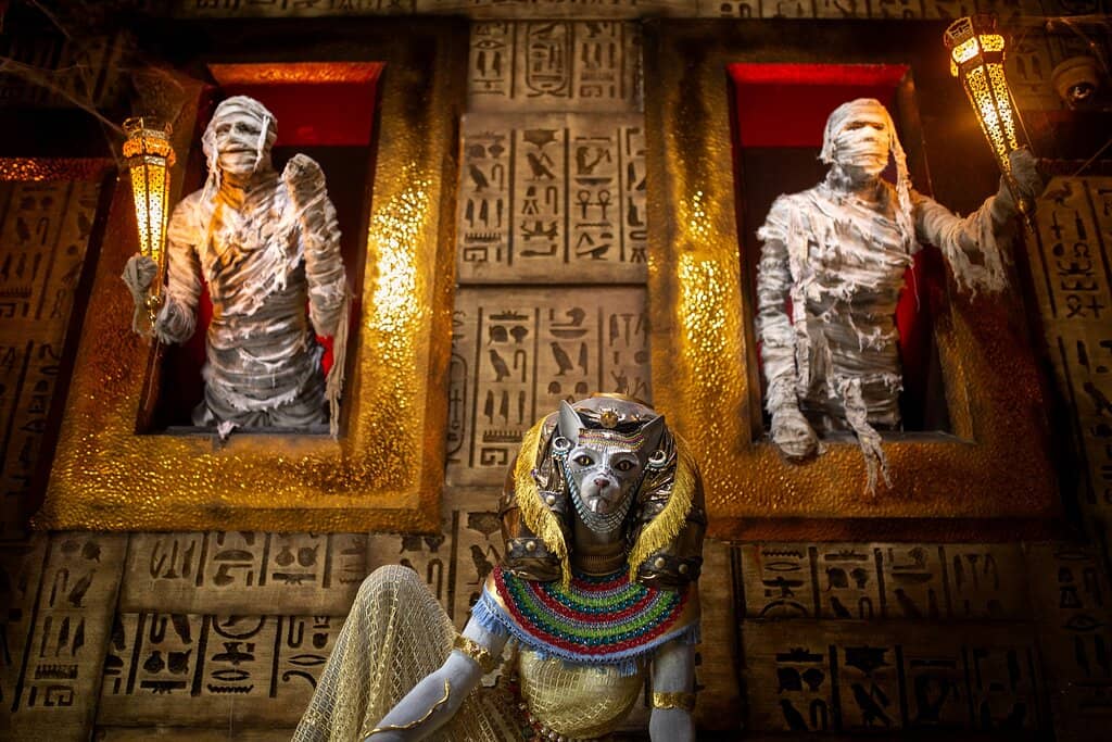 Interactive Art & Displays