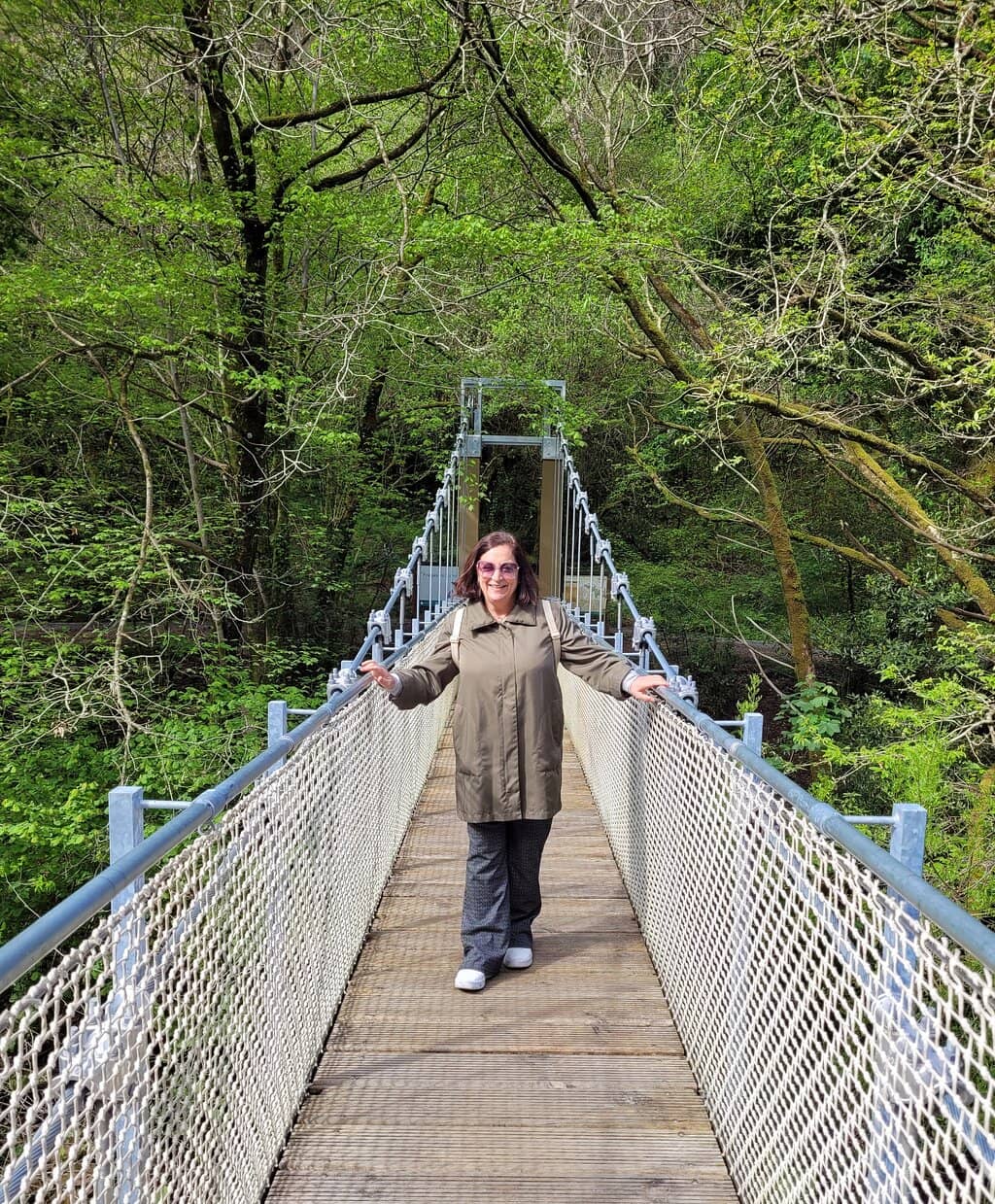 Oak and Birch Forests