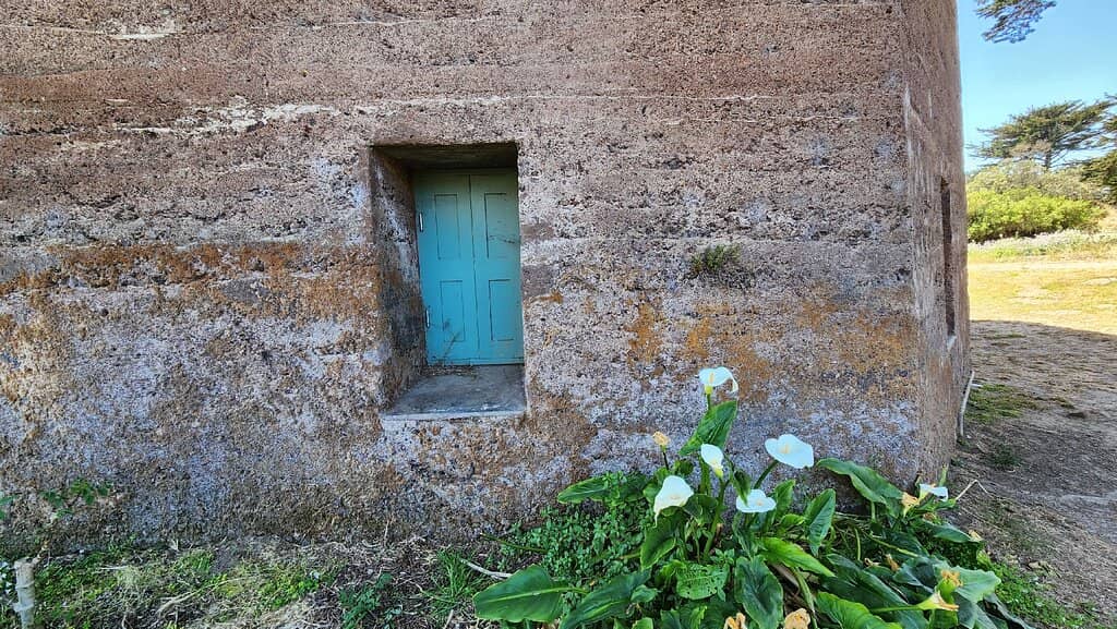 Vibrant Tulip Fields