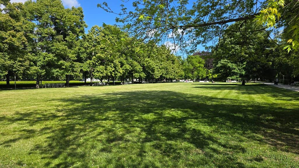 Children's Playground