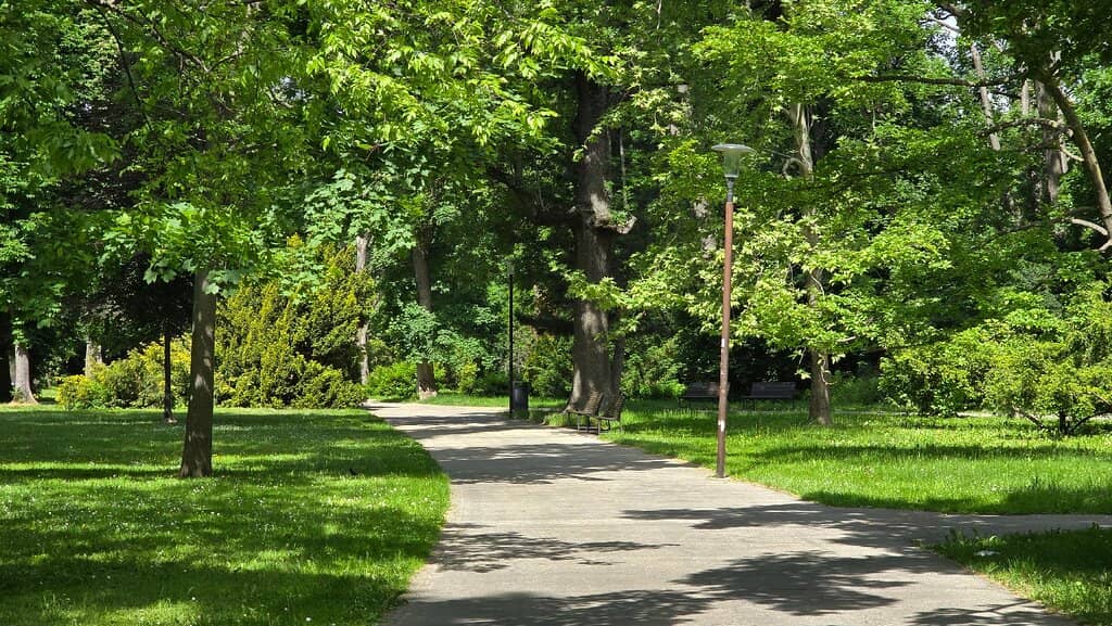 Ancient Trees & Lawns
