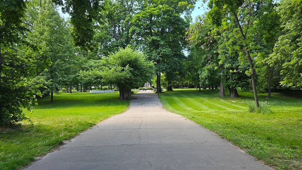 Danube Riverfront Views