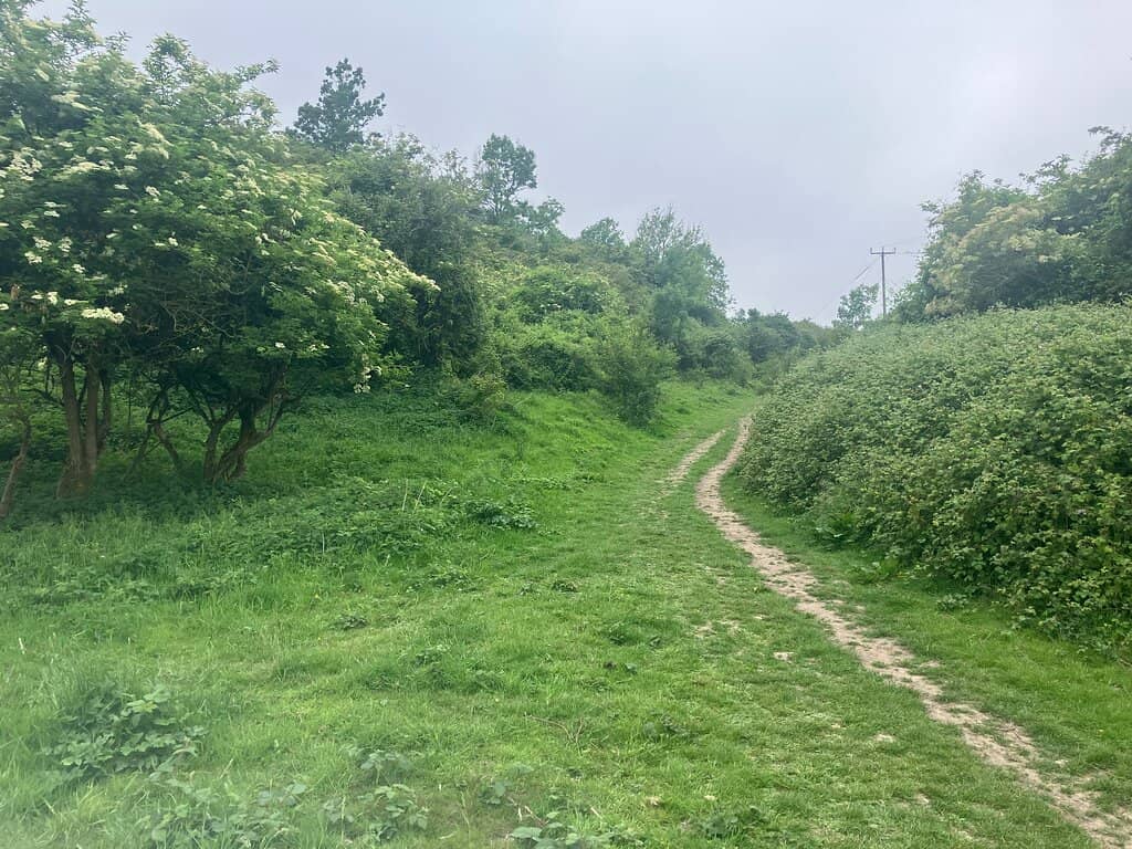 Chalk Pit Landscapes