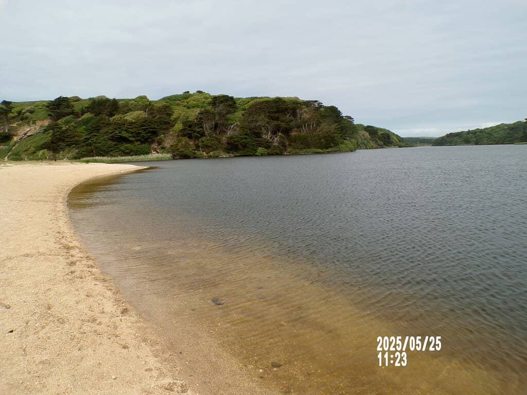 Loe Pool