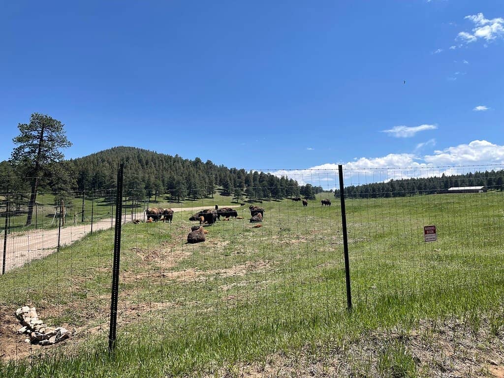 Birdwatcher's Paradise