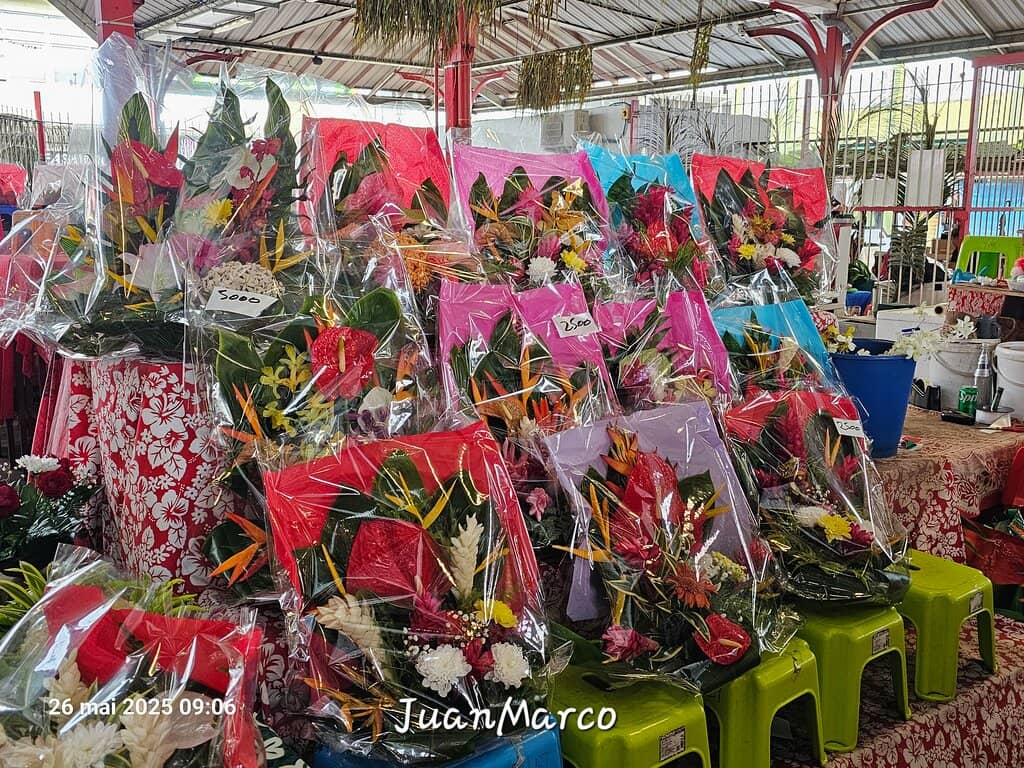 Wholesale Wonders