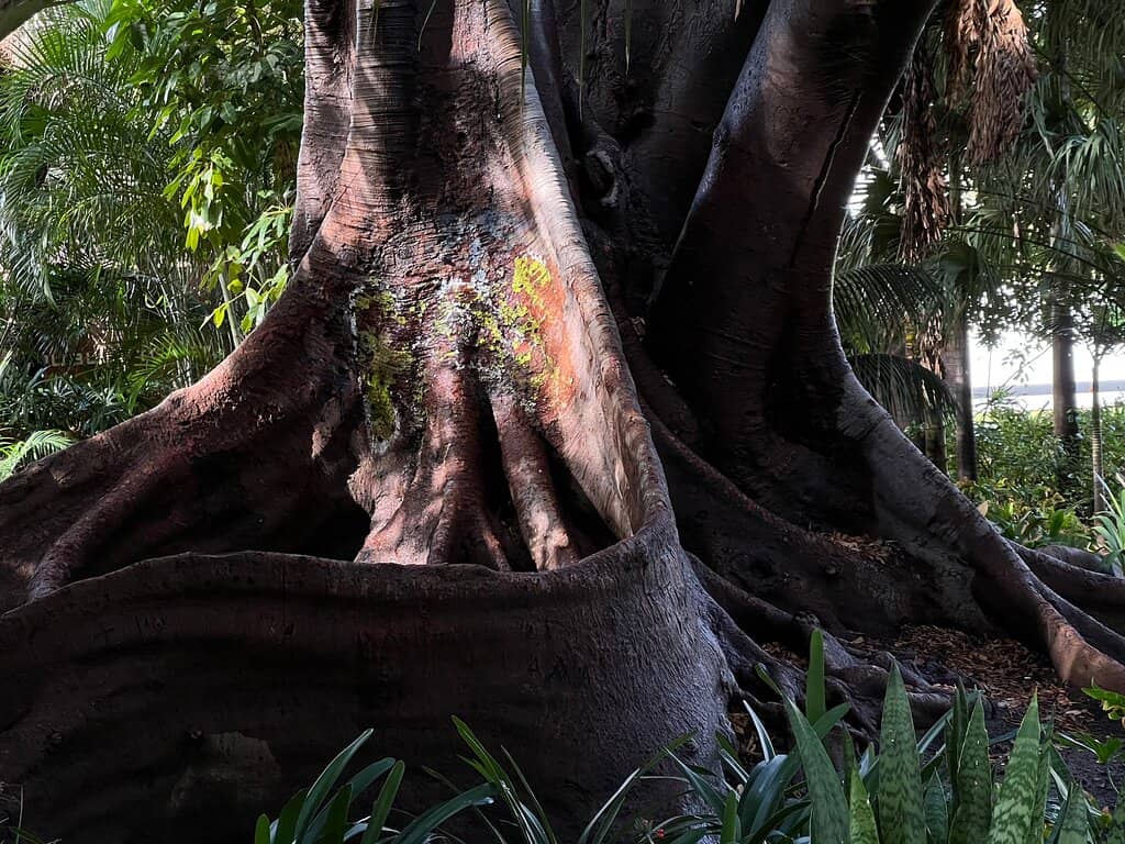 Van Gogh Alive Exhibition