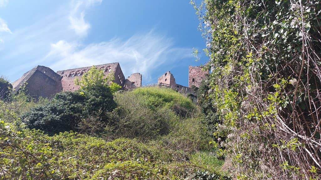 Panoramic Alsace Views