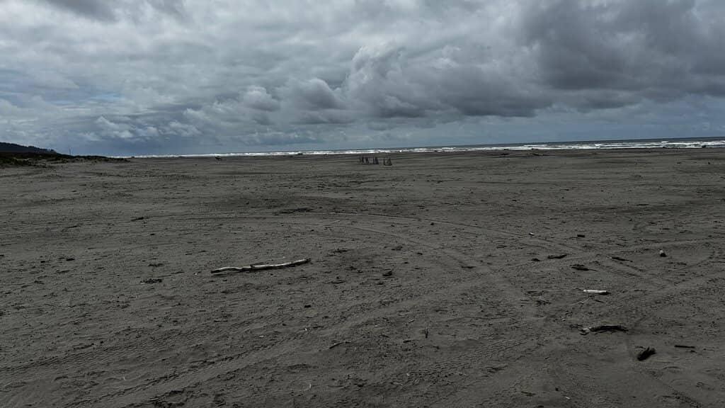 Scenic Boardwalk Stroll