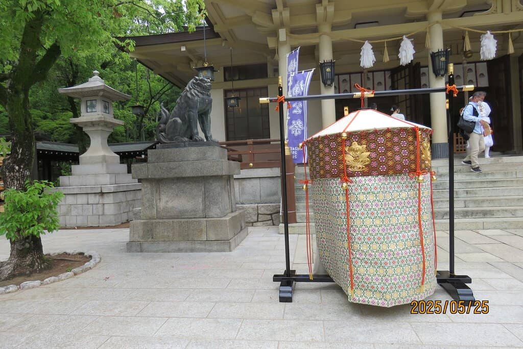 Oldest Living Olive Tree