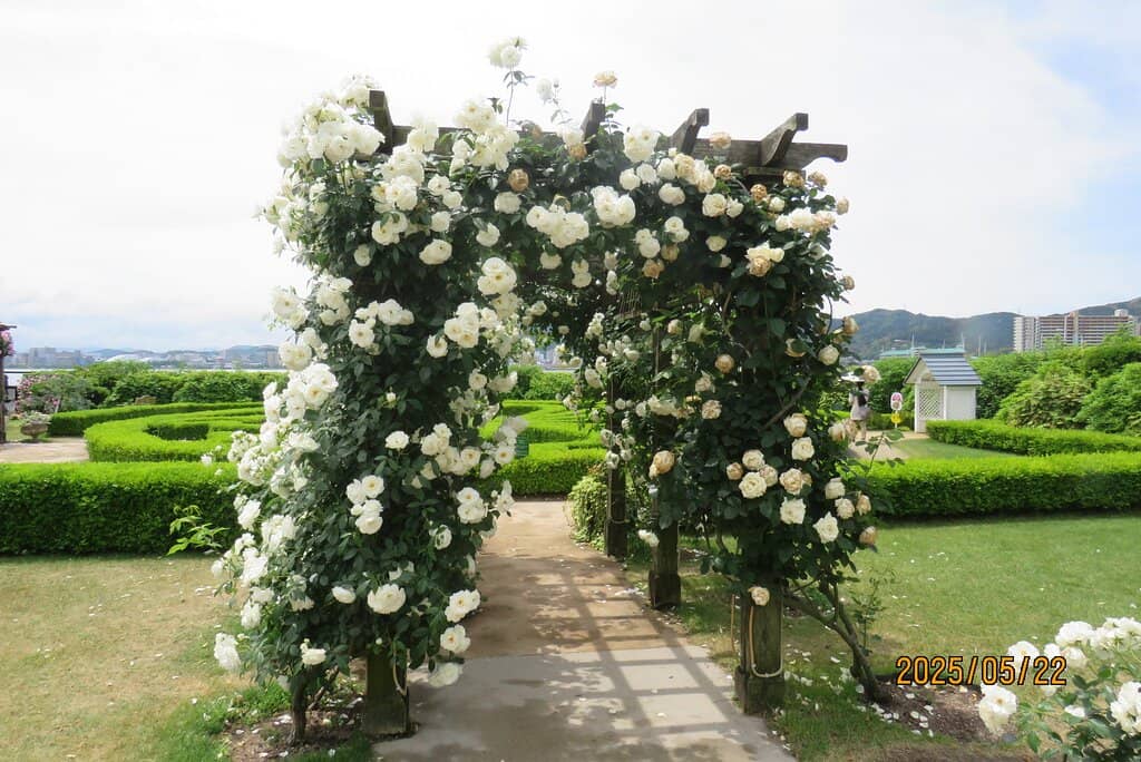 Open Green Spaces