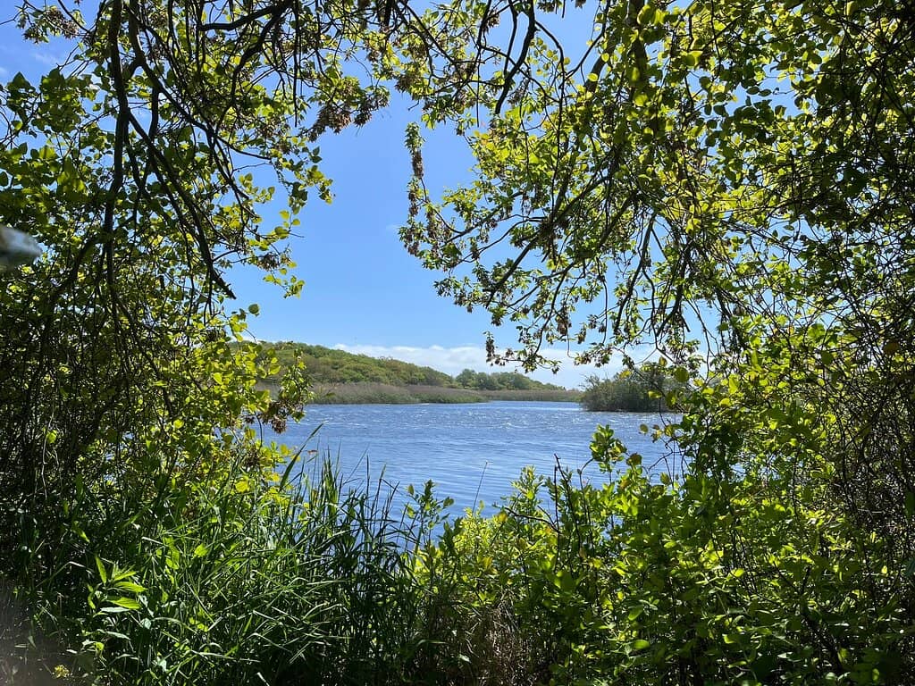 Osprey Trail Observatories