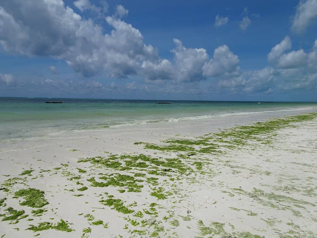 Expansive Sandbanks