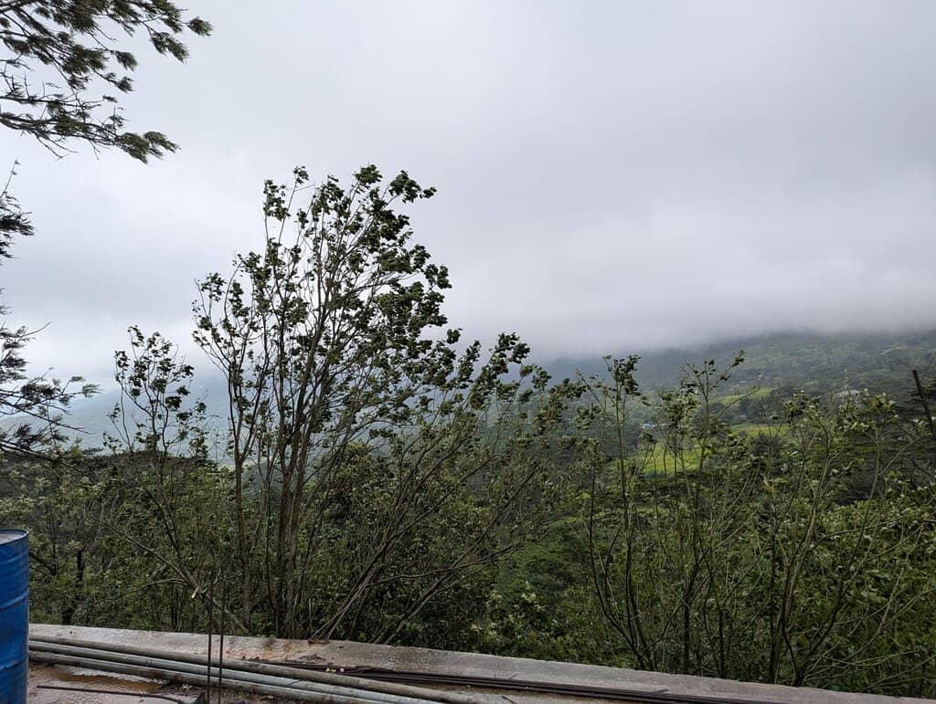 Vertical photo