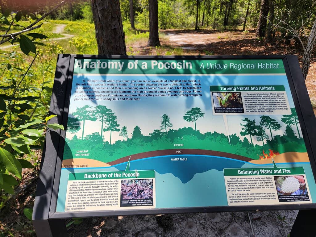 Diverse Carnivorous Plant Collection