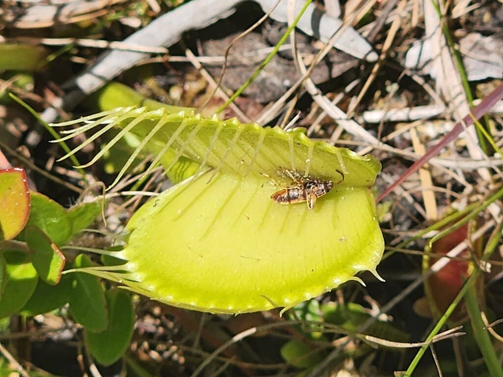 Educational Signage and Trails