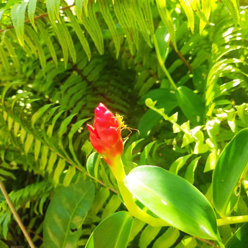 Biodiversity Hotspot