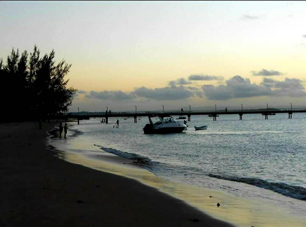 Sweet Treats & Rentals