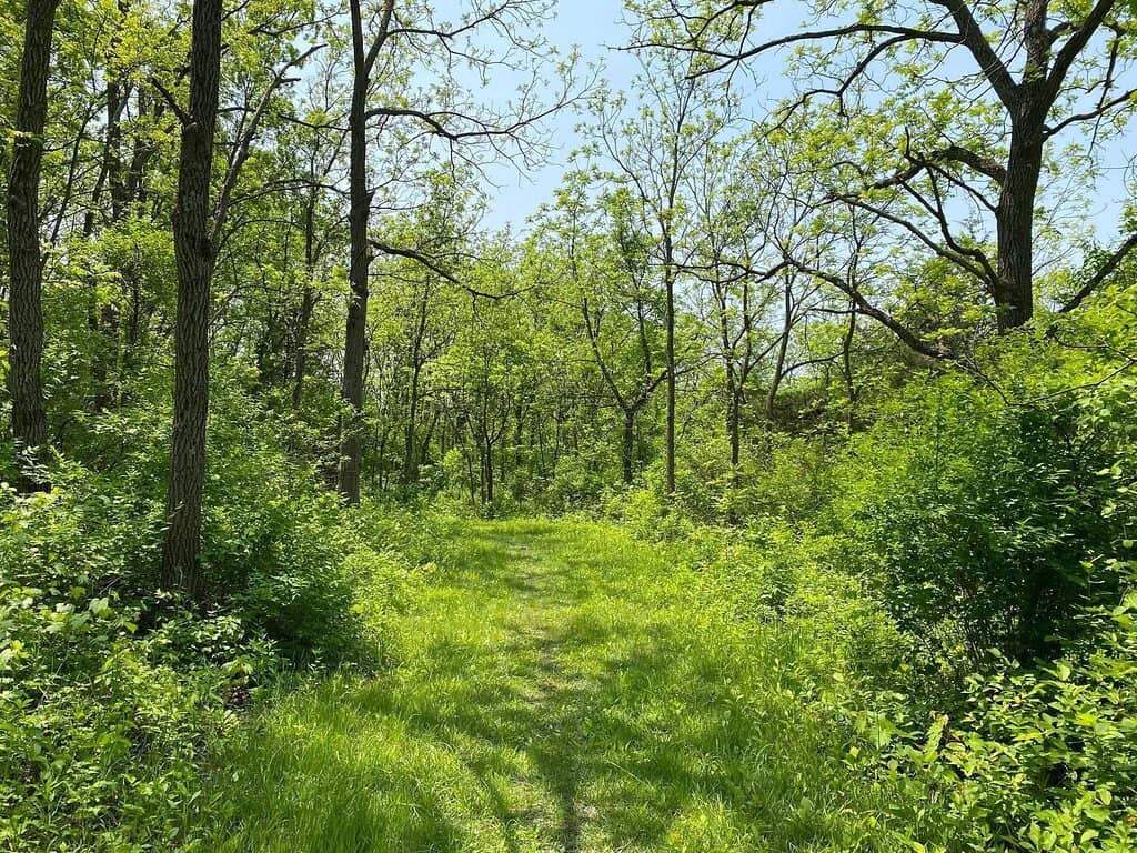 Model Airplane Field