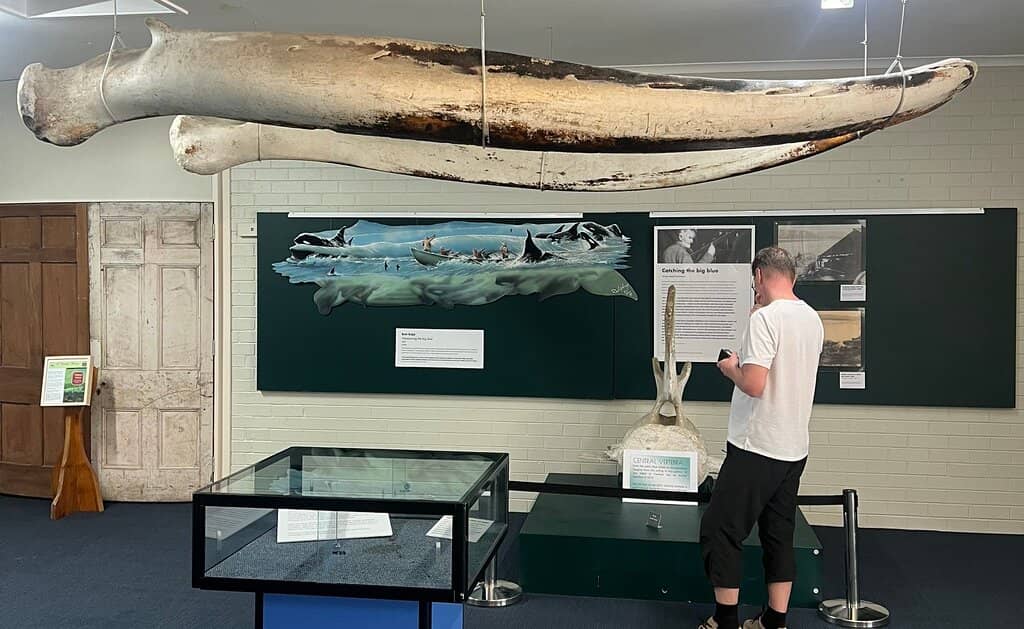 Whaling and Maritime History Exhibits