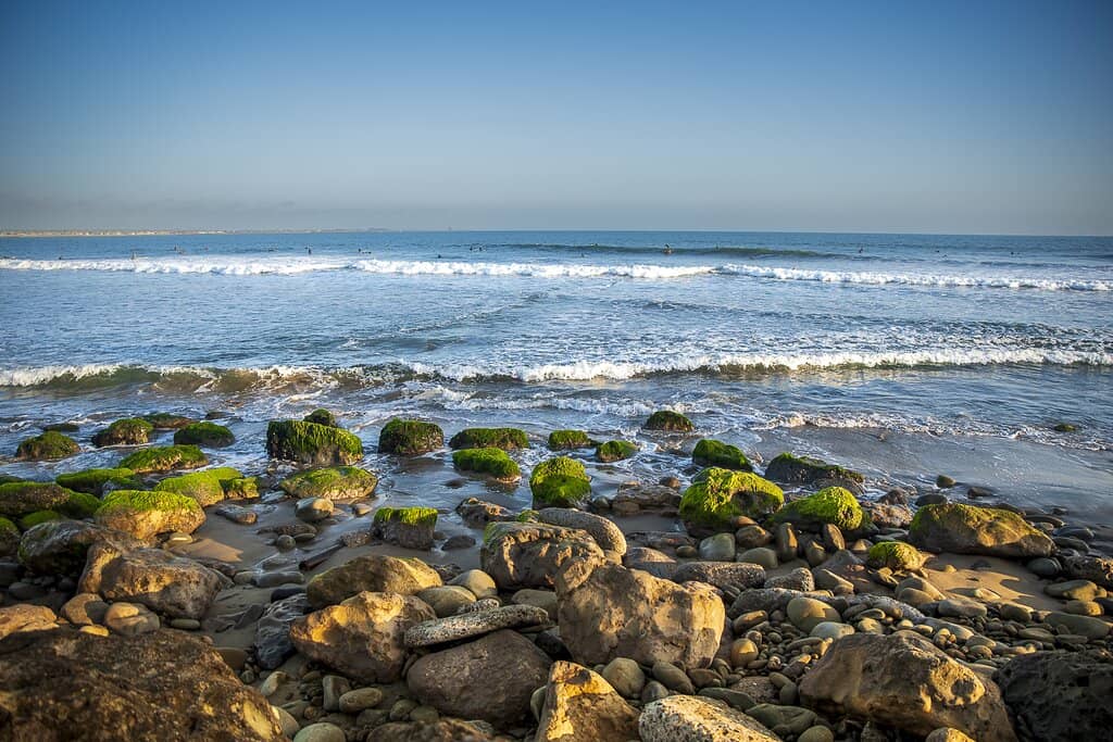 Ventura Harbor Views