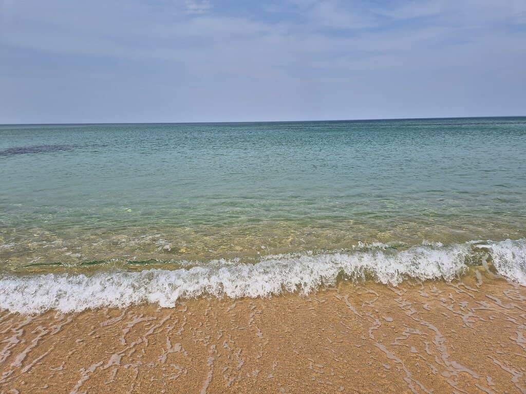 Speedboat Adventures