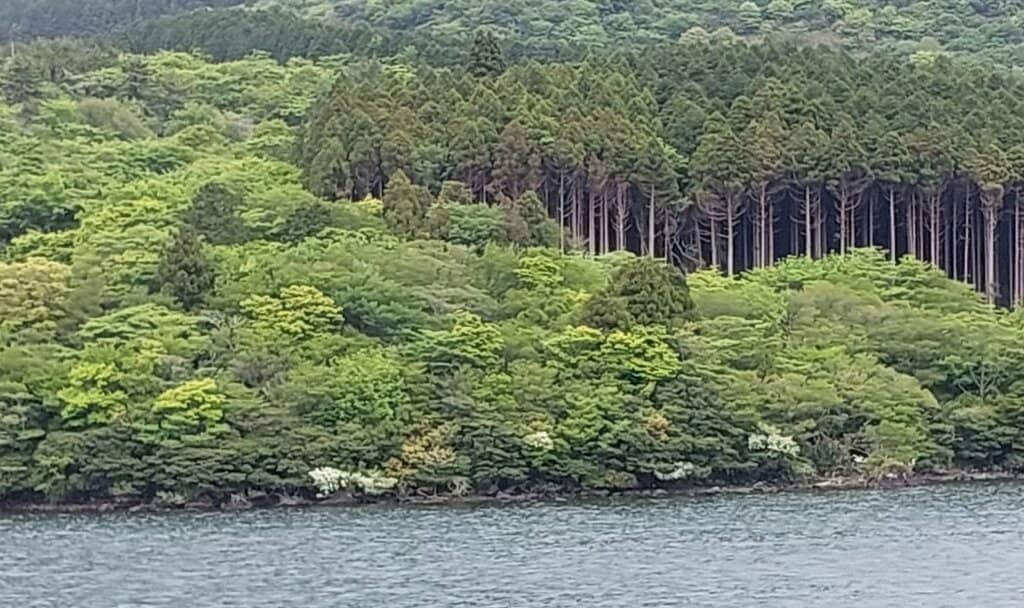 Pirate Ship Cruise on Lake Ashi
