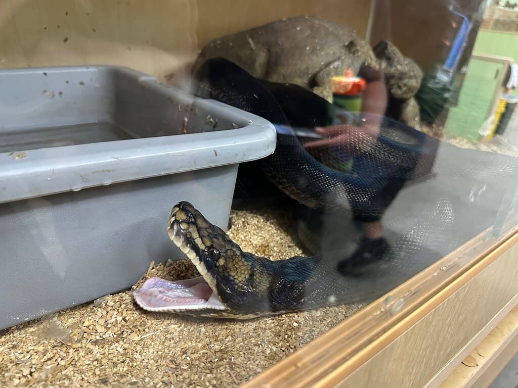 Earth Science Museum