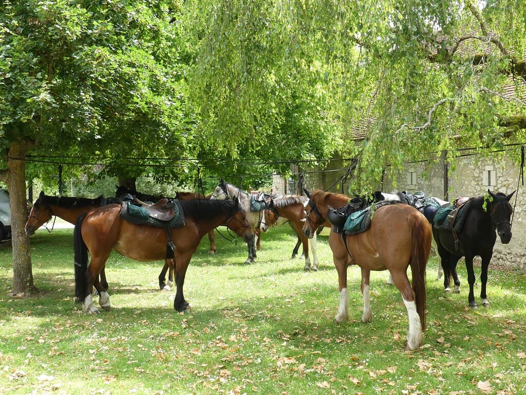 Fascinating Exhibitions