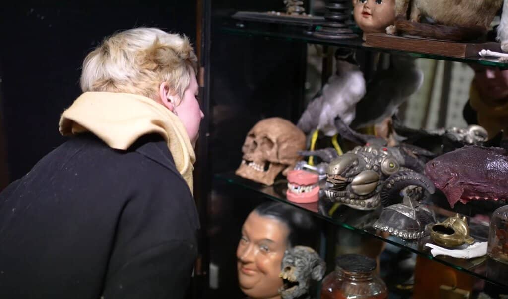 Taxidermy & Skeletons