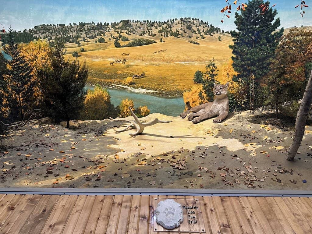 Nebraska Biodiversity