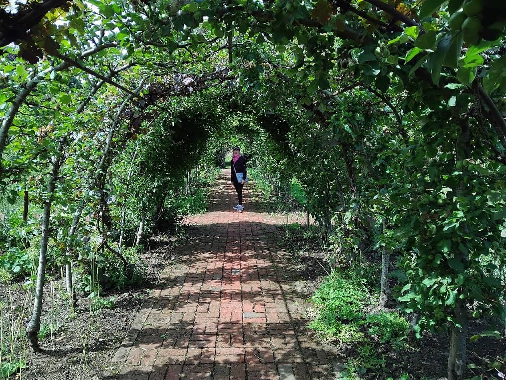 Peaceful Arboretum