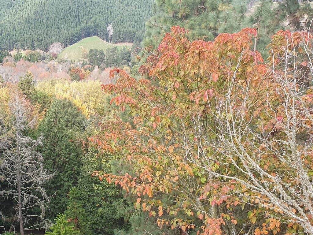 Vertical photo