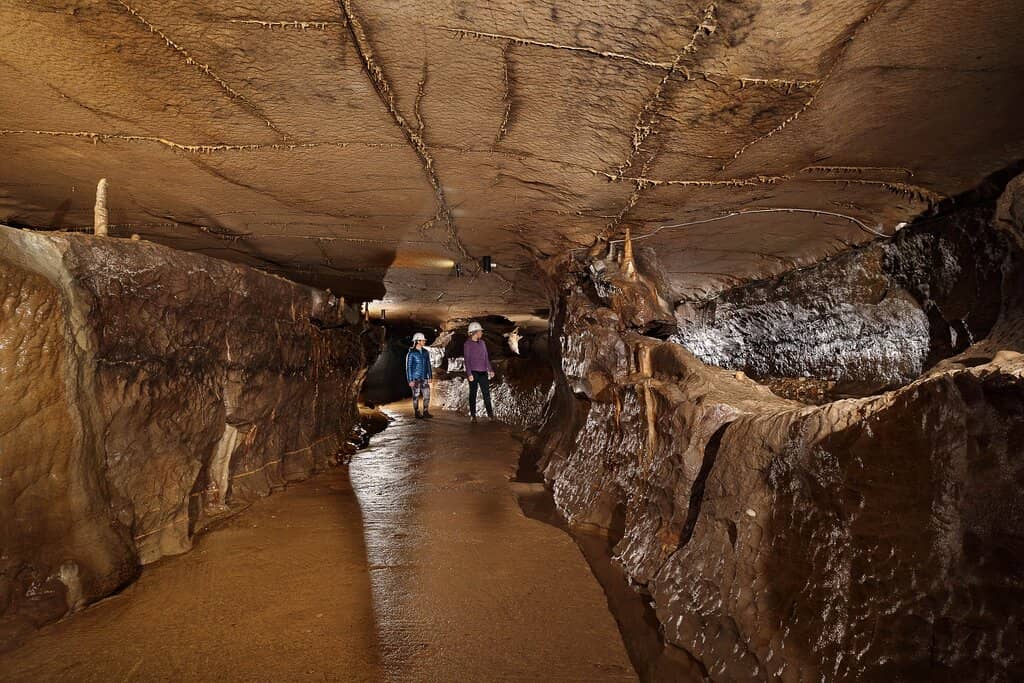 Ingleborough Estate Nature Trail