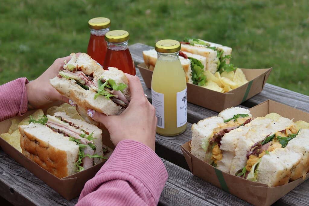 Vibrant Lupins in Bloom