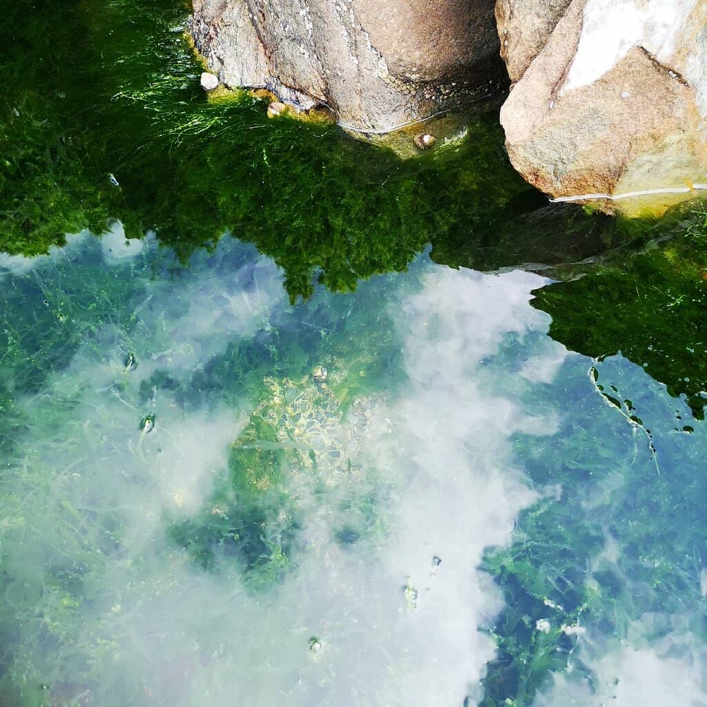 Sheltered Beach Vibe