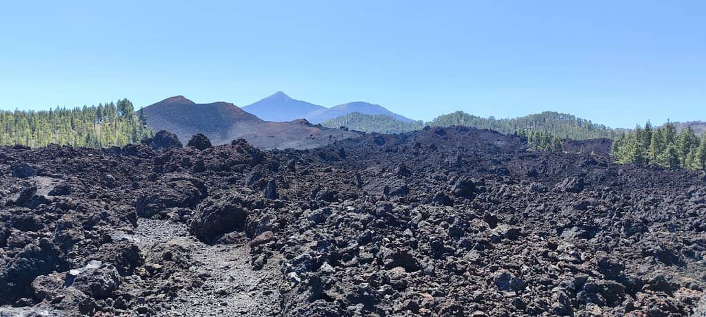 Chinyero Lava Fields