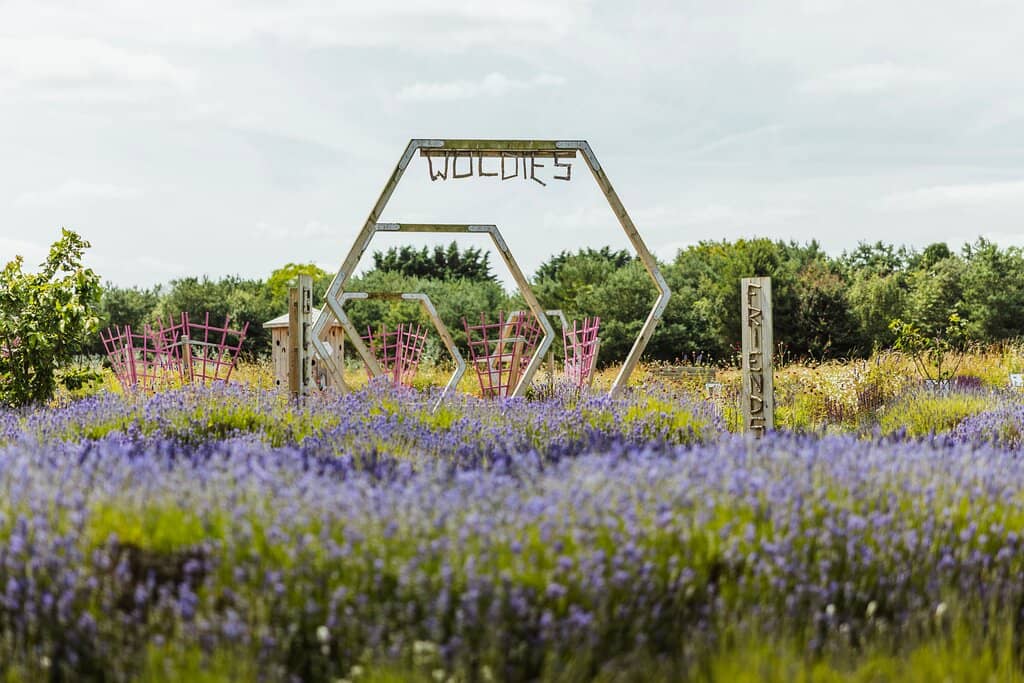 Miniature Train Ride