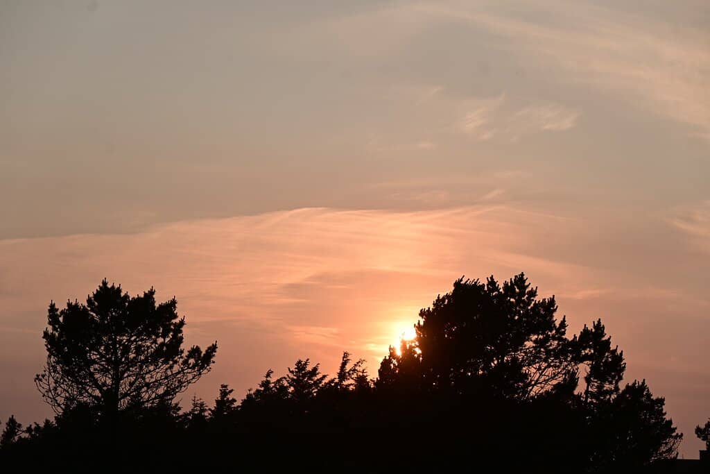 Expansive Sandy Shores