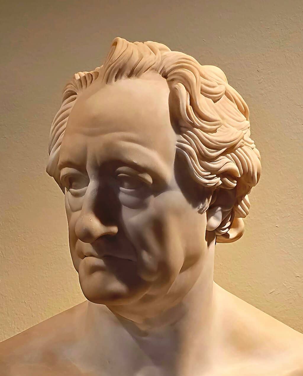 Curator's Insights