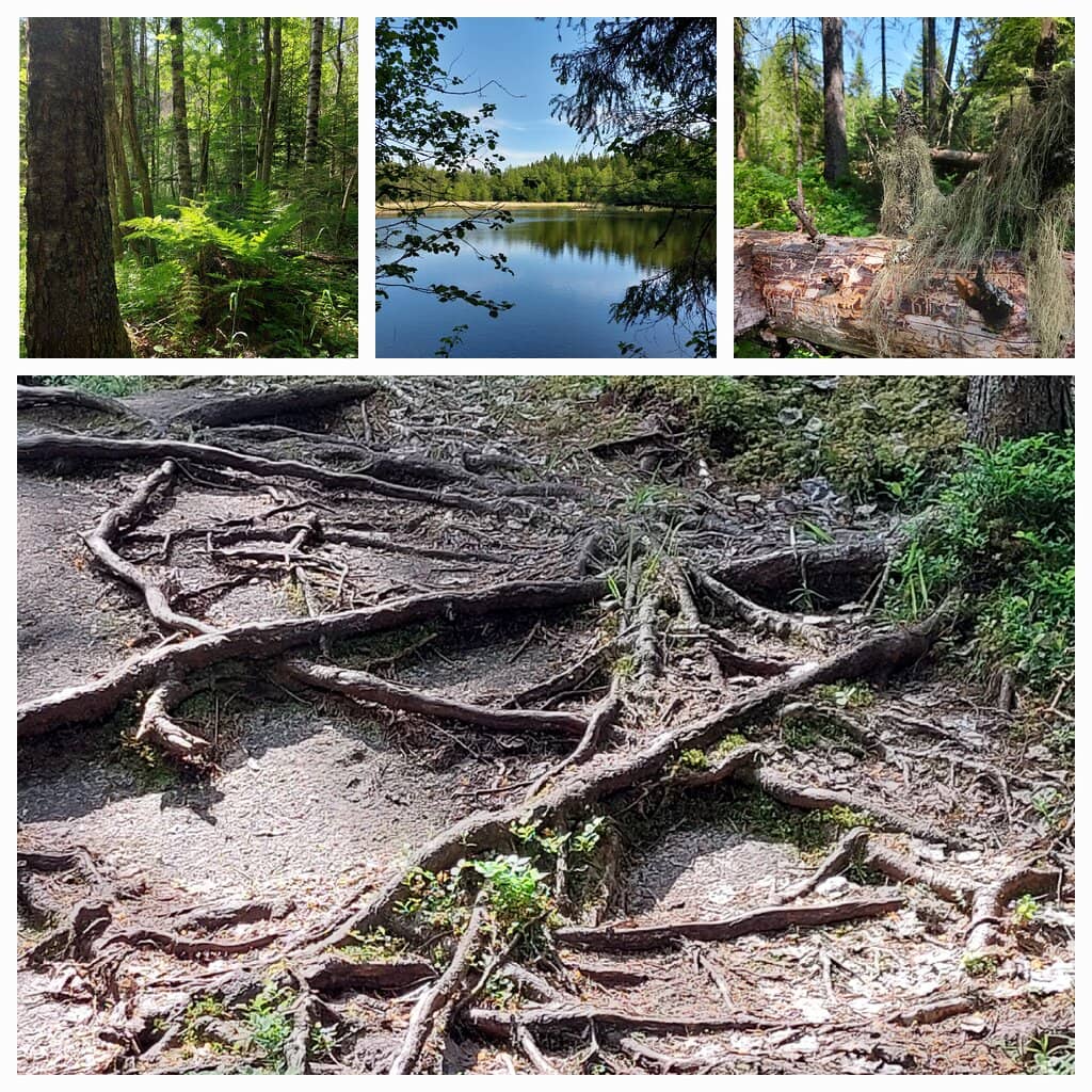 Slåttdalsberget Views