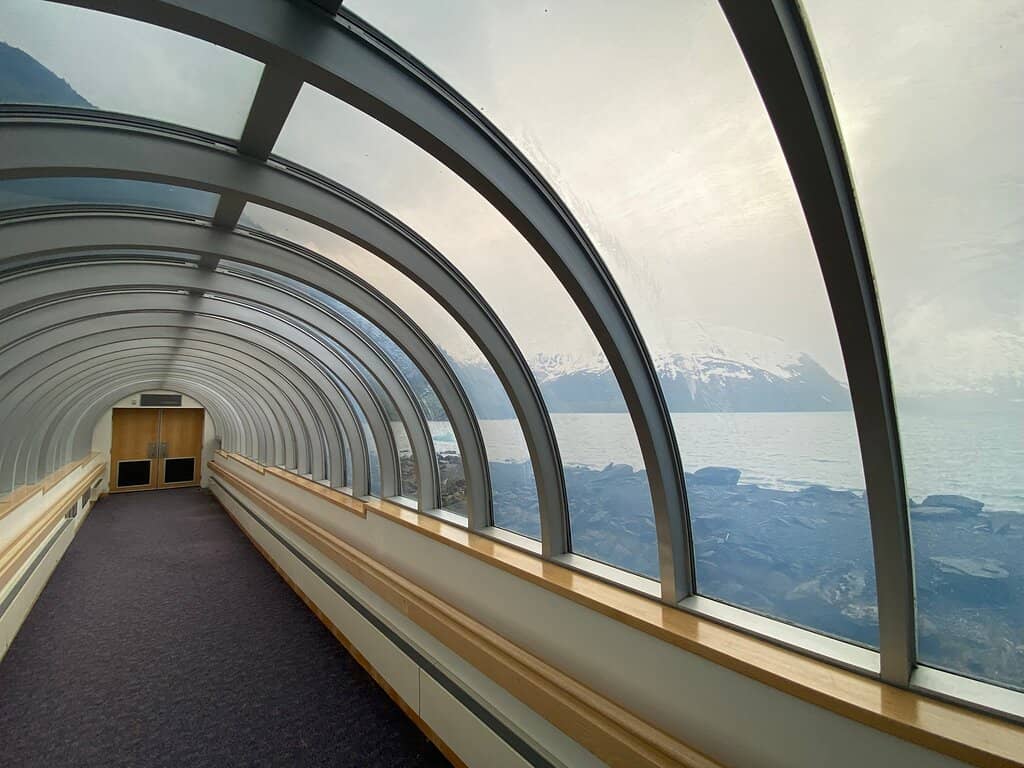 Giant Mosquito Model