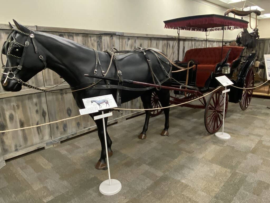 Local History & Memorabilia