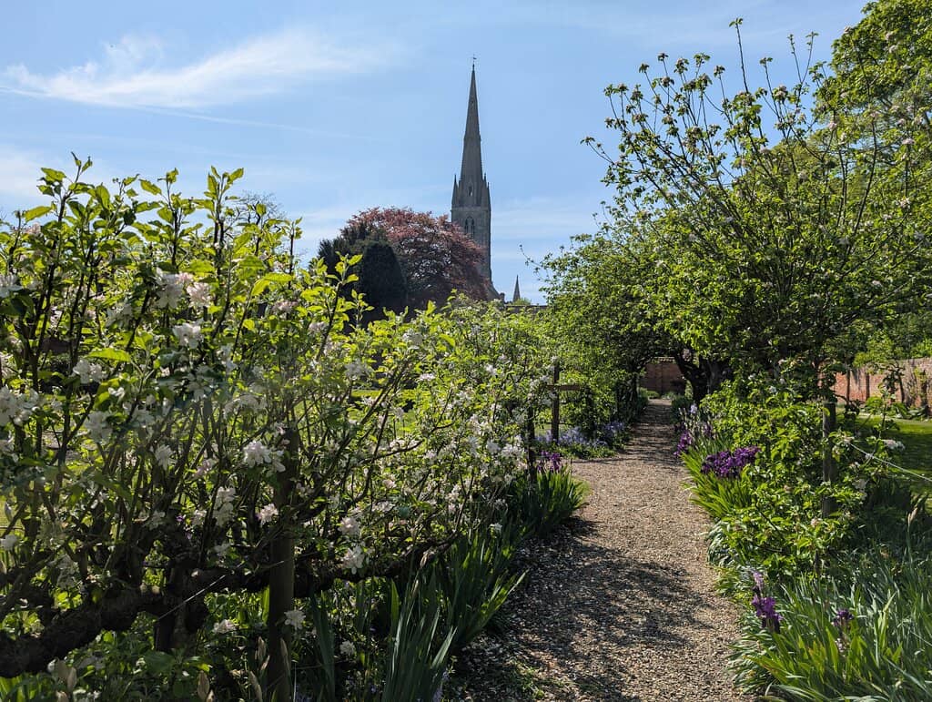 Garden Games & Relaxation